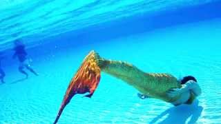 Mermaid Cataleya  MAGICTAIL H2O • UNDERWATER TEST [upl. by Friedrick]