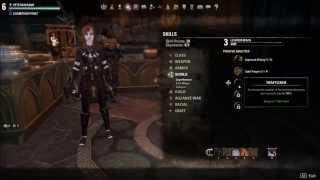 ESO Legerdemain Guide  Leveling Tutorial [upl. by Ahsed]