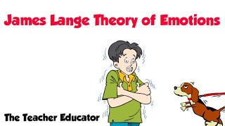 James Lange Theory of Emotions [upl. by Hollie]