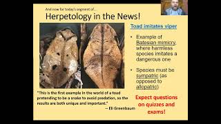 Herpetology Lecture 26 Jan 2022 [upl. by Leagiba]