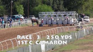 RACE 3 C CAMARON [upl. by Hollis]