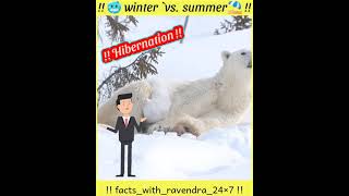 👉 winter vs summer  hibernation vs aestivation  shortsytshortsravendrafacts facts about animals [upl. by Ahseit861]