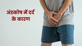 Scrotal or Testis Pain causes Treatmentअंडकोष एक तरफ दर्द होना टेस्टिकुलर टॉर्शन का होसकता है संकेत [upl. by Cruickshank]