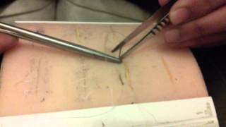 Cushing and Connell Suture Pattern Demo [upl. by Sairu]