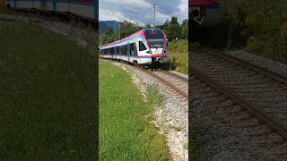 Another Stadler Flirt arriving in Bayerisch Gmain Next videos will be Swiss trains train shorts [upl. by Ahrendt]