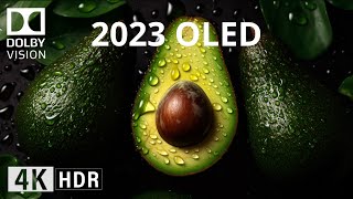 2023 OLED Demo l 4K HDR 60FPS Dolby Vision BLACK BEAUTY [upl. by Emmie280]