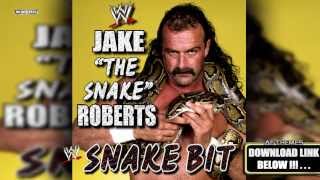 WWE quotSnake Bitquot Jake quotThe Snakequot Roberts Theme Song  AE Arena Effect [upl. by Yleve]