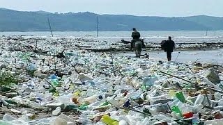 Mare nero di plastica Lallarme da un studio europeo [upl. by Aymik]