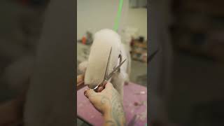 Satisfying Dog Grooming  Bedlington Terrier [upl. by Travus]