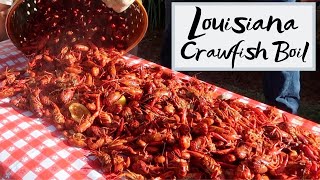 Authentic Louisiana Crawfish Boil  How to Boil Crawfish Louisiana Style [upl. by Anaiv]