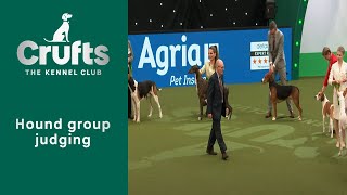 Group Judging Hound and Presentation  ​Crufts 2023 [upl. by Auvil]