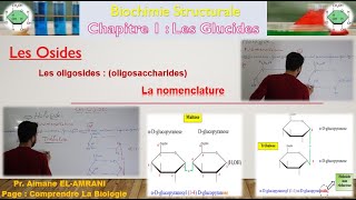 Séance 14  Les Osides  Les oligosides oligosaccharides [upl. by Marlette]