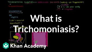 What is trichomoniasis  Infectious diseases  NCLEXRN  Khan Academy [upl. by Atalaya433]