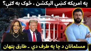 US elections  How Electoral College works  Who will Win  Who have Muslims Support  Tariq Pathan [upl. by Clywd]