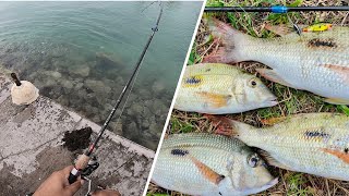 Ep3Shore Casting at Trou Aux Biches Fishing in Mauritius [upl. by Hayila]