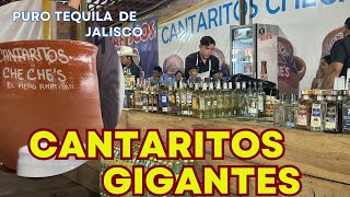 Cantaritos cheche en Tequila Jalisco [upl. by Spanjian]