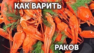 Как правильно варить раков Рецепт [upl. by Ancelin]