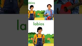 Conoce palabras por la letra L de León 🦁 123andres musicainfantil shortsvideo kidsvideo shorts [upl. by Lairbag]