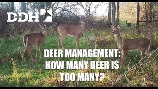 Deer Management The Carrying Capacity of Your Hunting Land [upl. by Krutz10]