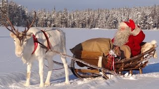 Best of Santa Claus video messages for kids 🦌🎅 Father Christmas in Lapland Finland for children [upl. by Yevreh]