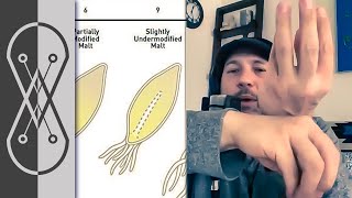 How To Malt Barley At Home  Advice From A Professional [upl. by Rezal524]