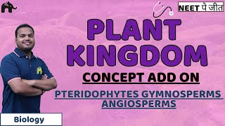 Plant Kingdom Class 11 Biology NEET  Pteridophytes Gymnosperms Angiosperms [upl. by Hebel742]