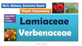 Lamiaceae amp Verbenaceae  MSc Botany Entrance  Angiosperm Families  Important Notes [upl. by Inus]