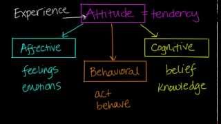 Components of Attitudes [upl. by Treva]