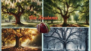 Die Kastanie [upl. by Nehtanhoj]