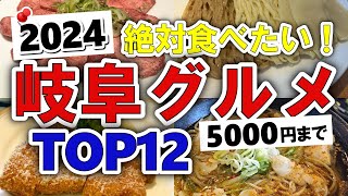 【今すぐ行きたい！】2024年版！岐阜グルメランキングTOP12｜ランチにおすすめのデカ盛り・デート・名店・安い・海鮮・名物・人気・おしゃれ・コスパ・穴場など【5000円以下】 [upl. by Catriona]