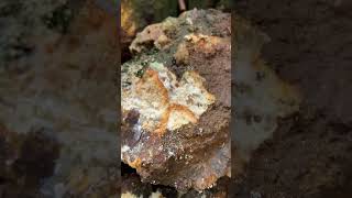 Cracking A Crystalized Rock For Amethyst 🔥💎😲 crystals nature satisfying gold gems viralvideo [upl. by Akiria]