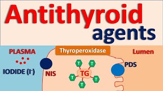 Antithyroid agents [upl. by Carolynn]