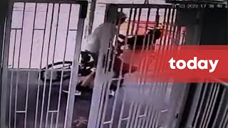 Be more careful Woman in viral video injured by cyclist after stepping through condo gate [upl. by Gnehc36]