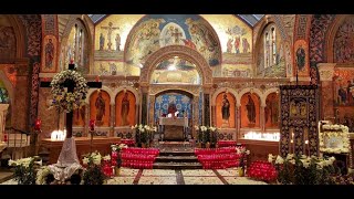 Orthros amp Divine Liturgy  Nov 8 2024  Synaxis of Archangel Michael amp the other Bodiless Powers [upl. by Meave]