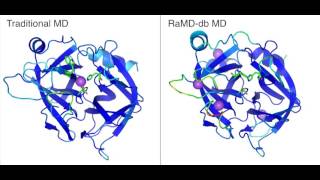 Traditional MD vs Accelerated MD [upl. by Alekat]