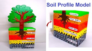 soil profile model 3d making using cardboard  diy  science project  howtofunda [upl. by Ilenay904]