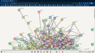 STRING Database  Hub Genes Network Construction by Cytoscape  SALMAN AKBAR [upl. by Idnib]