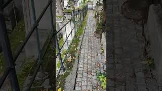 ASMR walk in Graveyard  Headstone Crow cry Cimetière de Montmartre Montmartre Cemetery S686✝️ [upl. by Stauder]