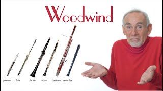 The Sections of the Orchestra Woodwind [upl. by Rheinlander]