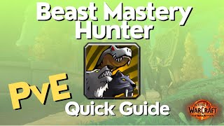 BM Hunter The War Within Guide  TWW Season 1 [upl. by Idalina]