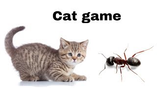 Ant on the screen to make fun with cat  cat games [upl. by Fremont]