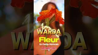 Comment dire Fleur en Arabe Marocain  Apprends Warda en Darija 🇲🇦 apprendredarija learndarija [upl. by Demodena119]