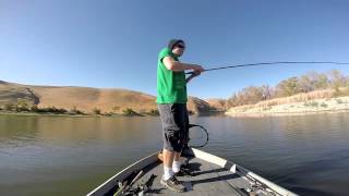 Los Banos Creek Bass Fishing [upl. by Dosh]