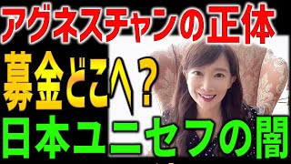 【海外の反応】「日本は募金を軽視している」善良な募金で私腹を肥やすあの組織とアグネスチャンを有名評論家が論破した状況【海外の反応】 [upl. by Etteyniv]