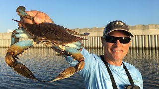 Hot crabbing action with amazing underwater footage [upl. by Myna]