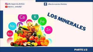 21 Los Minerales Parte 1 nutricion minerales [upl. by Sivart]