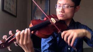 NFL Broadcast Theme Songs  Violin Cover [upl. by Jeuz]