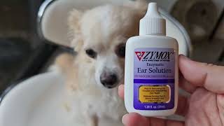 HONEST review of ZYMOX Enzymatic Ear Solution for Dogs [upl. by Mohr]