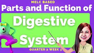 DIGESTIVE SYSTEM PARTS AND FUNCTION  QUARTER 2 WEEK 3 digestivesystem digestion [upl. by Malsi]