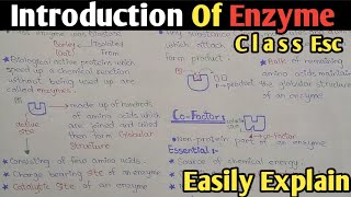 Introduction To Enzyme in biochemistry  Cofactor  Class 11 Biology [upl. by Grimes]